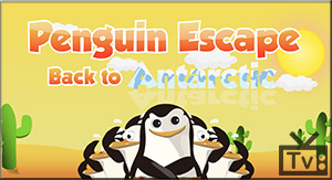 Penguin Games Online